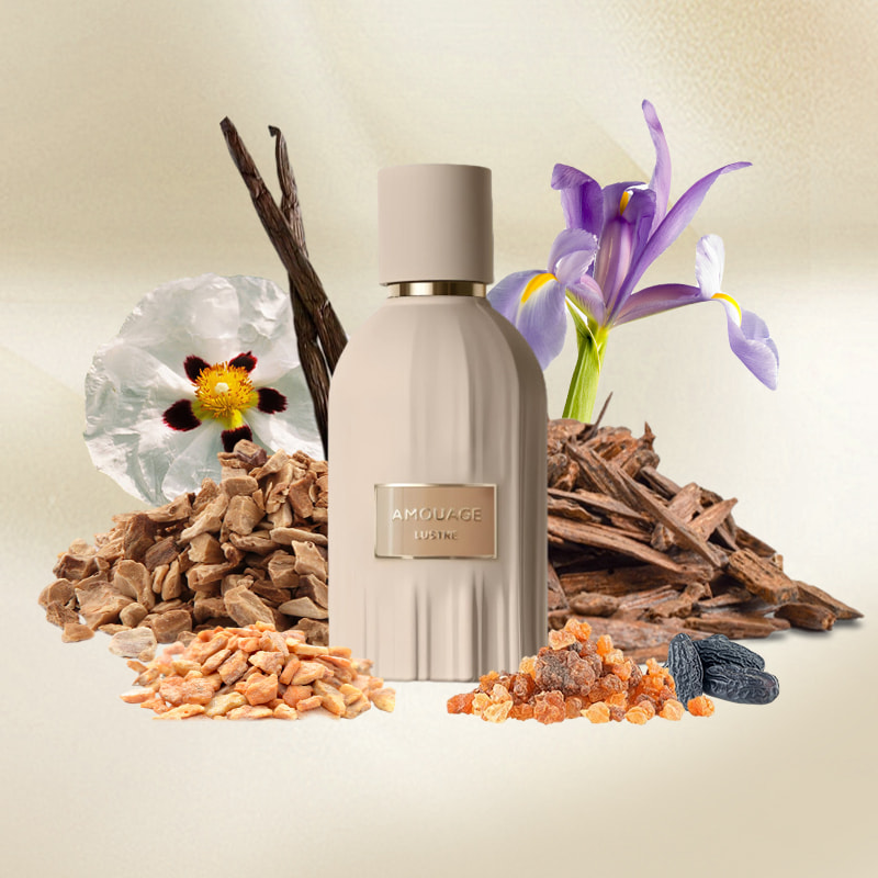 آمواج لاستر لوزی - AMOUAGE - Lustre