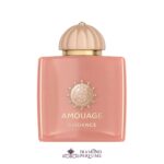 آمواج گایدنس (آمواژ گایدنس) لوزی - AMOUAGE - Guidance